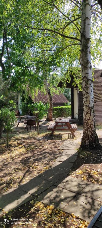 Rybarska Basta Vikletice - Nechranice Vila Chbany Exterior foto